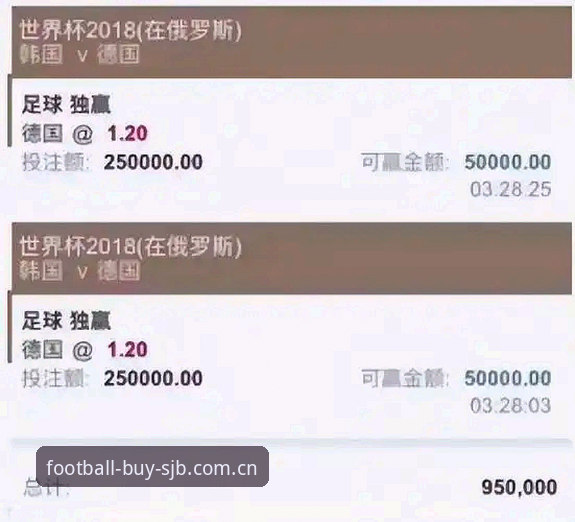 世界杯买球平台深度评测：SJB官方网站体验报告与技术分析